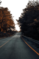 sunset in the forest road with isolated background png