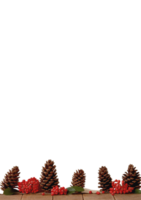 christmas background with fir branches and cones isolated background. png