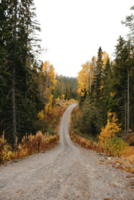 autumn in the mountains with isolated background png