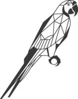 geometric parrot stands perched its wings folded vector