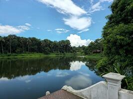 A lake with a bridge and trees in the background photo