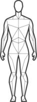 geometric outline of a human figure vector