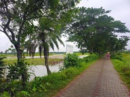 A path next to a river with trees and grass photo