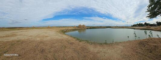 A 360 degree view of a pond in the middle of a field photo
