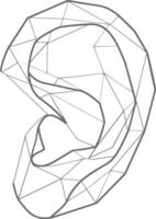 Geometric Representation of a Human Ear vector