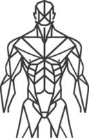Geometric Representation of a Male Torso with Detailed Muscle Structure vector