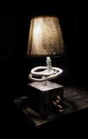 A lamp with a cord and a light bulb photo