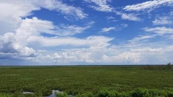 A view of the marsh and sky from a boat photo