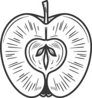 A black and white drawing of an apple vector