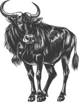 An illustration of a wildebeest vector