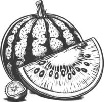 Watermelon and kiwi fruit in engraving style vector