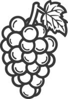 Grapes coloring pages vector