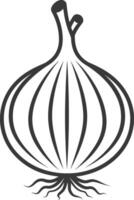 An onion is shown in black and white vector