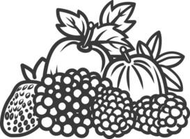 Fruit and berries coloring pages vector