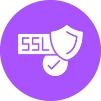 SSL Certificate Glyph Style Icon vector
