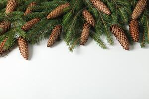 Background for new year 2025. New year's theme on white surface with fir branches. Design for greeting card. photo