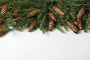 Background for new year 2025. New year's theme on white surface with fir branches. Design for greeting card. photo