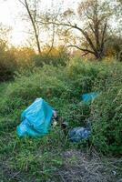 Garbage bags in the forest photo