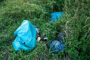 Waste Pollution. Garbage Bags Left in the Forest photo