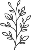 A black and white drawing of a branch with leaves vector