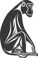 A black and white monkey sitting on its back vector