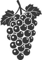 Black grapes on a white background vector