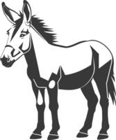 A donkey is standing in front of a white background vector