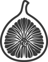A black and white illustration of a fig vector