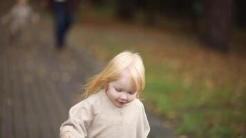 a beautiful family in stylish clothes in an autumn park video