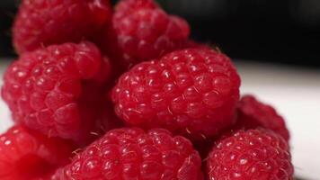 Close-up of fresh raspberries. Beautiful raspberry background. Macro raspberry. video