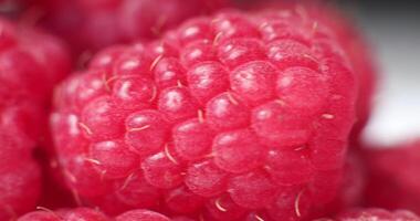Close-up of fresh raspberries. Beautiful raspberry background. Macro raspberry. video