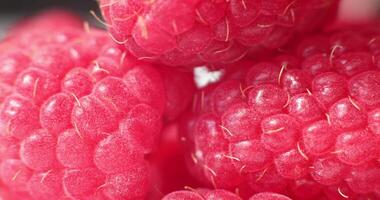 Close-up of fresh raspberries. Beautiful raspberry background. Macro raspberry. video