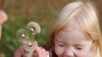 beautiful little baby girl blowing on a dandelion with mother video