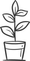 A plant in a pot is shown in a black and white drawing vector