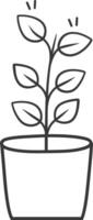 A plant in a pot with leaves vector