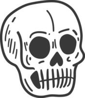 A skull is shown in a black and white drawing vector