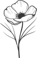 Poppy flower coloring pages vector