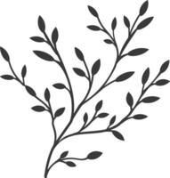 A black and white drawing of a branch with leaves vector