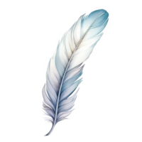 Single, Delicate, Light Blue Feather with Subtle Color Variations on Black Background png