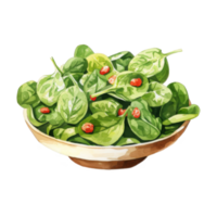 Watercolor Painting of a Bowl of Spinach Salad with Pomegranate Seeds png