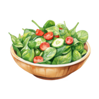 Fresh Spinach Salad with Cherry Tomatoes and Cucumber in Wooden Bowl png