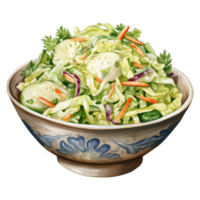 Fresh Coleslaw Salad in a Decorative Bowl with Carrots and Cucumber png