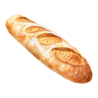 Watercolor Painting of a Crusty, Golden-Brown Baguette on a Surface png
