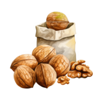 Watercolor Painting of Walnuts in a Burlap Sack, Showing Whole and Broken Nuts png