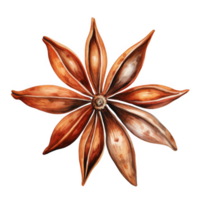 Watercolor Painting of a Single Star Anise Spice on Black Background png