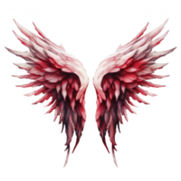 A pair of crimson and white feathered wings against a black background. png