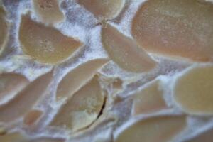 texture of tempeh slices photo