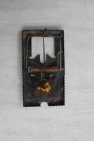 The mousetrap will automatically clamp when the bait is eaten photo