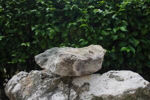 limestone terraced leaves background photo