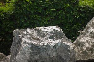 limestone terraced leaves background photo